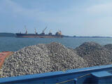 Vietnam Limestone Stone